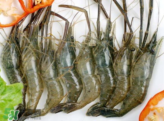 河蝦是海鮮嗎？河蝦屬于海鮮嗎？