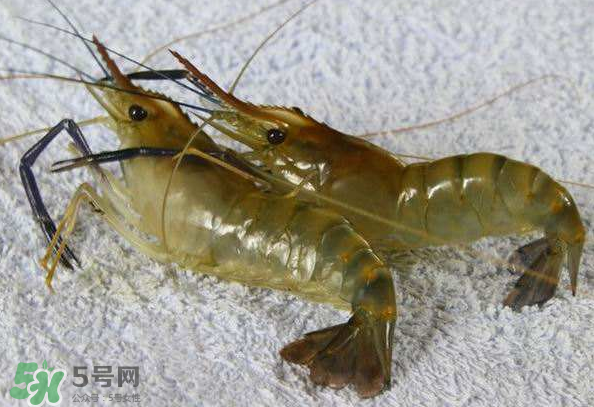 河蝦是酸性還是堿性？河蝦是涼性還是熱性？