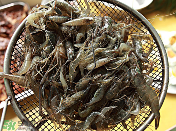 河蝦可以吃頭嗎？蝦頭到底能不能吃？