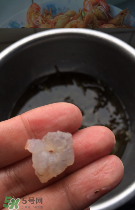 河蝦可以放冰箱嗎？河蝦在冰箱能放幾天？