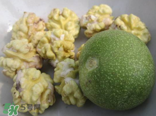 鮮核桃熱量高嗎？鮮核桃的熱量是多少？