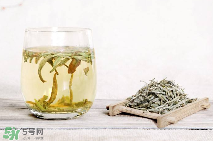 白毫銀針屬于綠茶嗎？白毫銀針是什么茶？