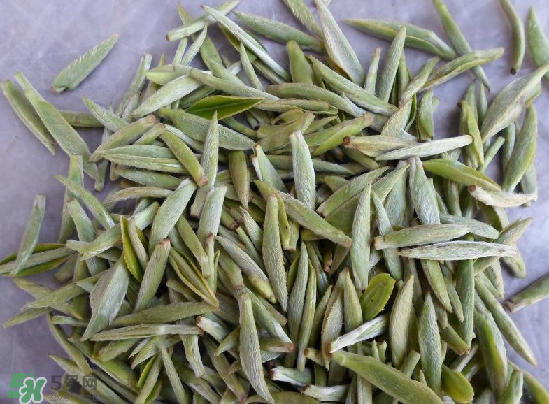 白毫銀針屬于綠茶嗎？白毫銀針是什么茶？