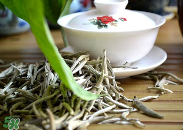 白茶需要洗茶嗎？白茶是洗還是不洗？