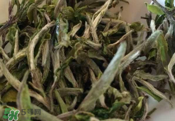 白茶需要洗茶嗎？白茶是洗還是不洗？