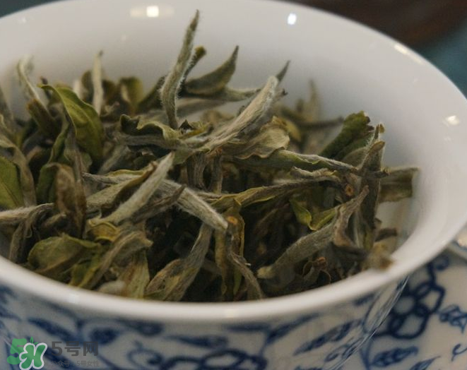 白茶需要洗茶嗎？白茶是洗還是不洗？