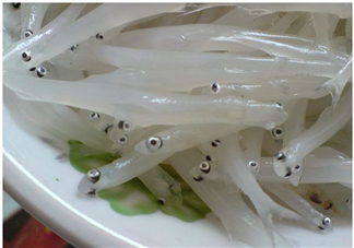 銀魚怎么保存？銀魚可以放在冰箱冷凍保存嗎？
