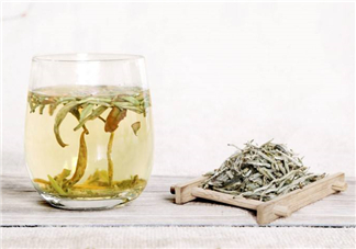 白毫銀針屬于綠茶嗎？白毫銀針是什么茶？