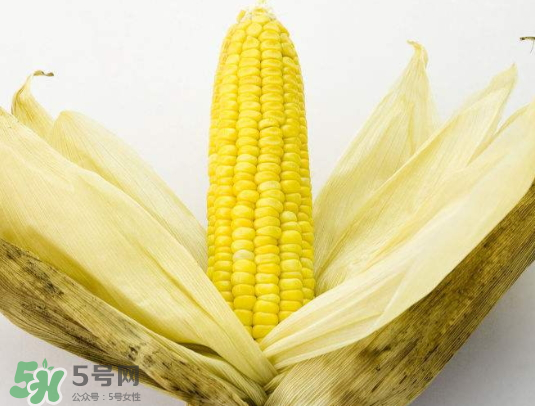 九月份能種玉米嗎？玉米九月份還可以種嗎？