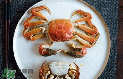 啤酒蒸大閘蟹好吃嗎？啤酒蒸大閘蟹怎么吃？