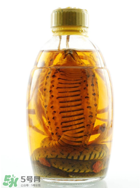 毒蛇泡酒有毒嗎？毒蛇泡酒能喝嗎？