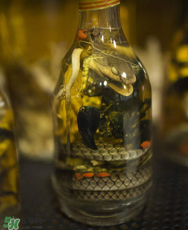 毒蛇泡酒有毒嗎？毒蛇泡酒能喝嗎？
