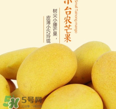 臺農(nóng)芒果多少錢一斤？臺農(nóng)芒果為什么叫臺農(nóng)芒果
