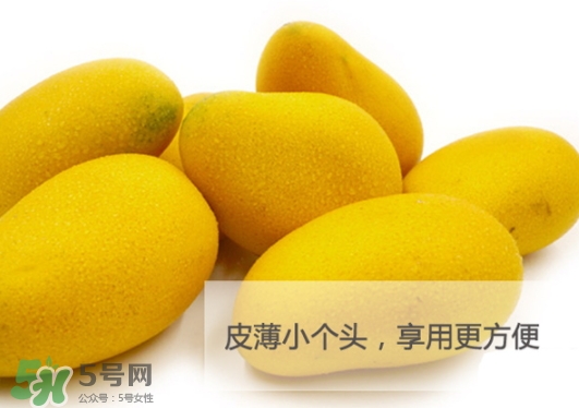 臺農(nóng)芒果多少錢一斤？臺農(nóng)芒果為什么叫臺農(nóng)芒果