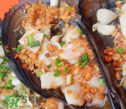帶子是什么海鮮？帶子是什么東西