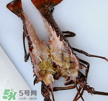 波士頓龍蝦產(chǎn)自波士頓嗎？波士頓龍蝦是哪里的