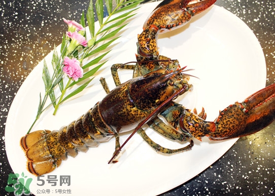 波士頓龍蝦頭能吃嗎？波士頓龍蝦哪里不能吃