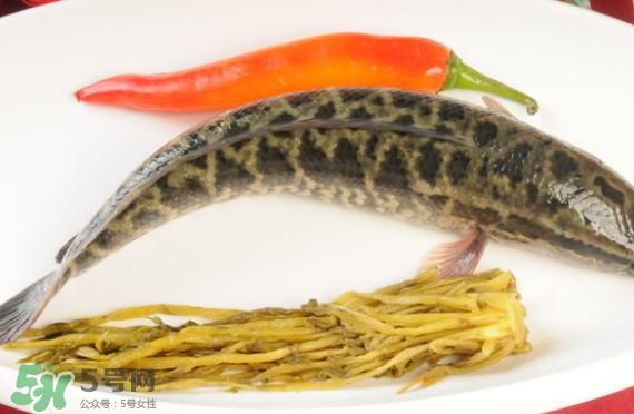 黑魚和草魚哪個好吃？黑魚不適合什么人吃