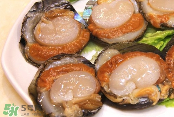 帶子是什么海鮮？帶子是什么東西