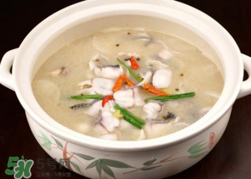 黑魚湯下奶嗎？黑魚湯是下奶還是回奶