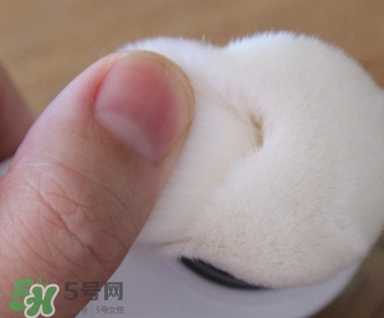 neogen妮珍面膜怎么樣？冷門性價(jià)比高的面膜