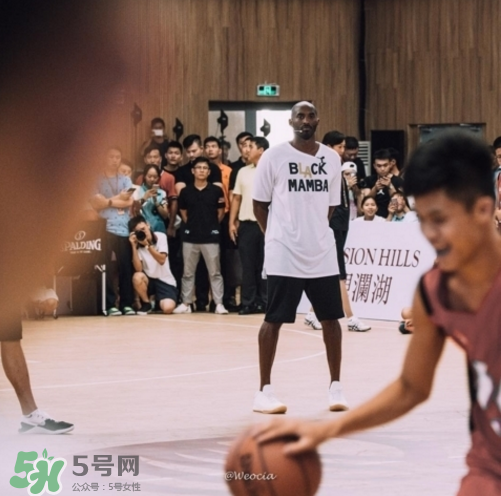 nike kobe ad mid baseline什么時候發(fā)售_多少錢？