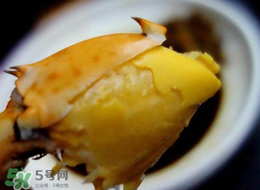 黃油蟹是什么蟹？黃油蟹多少錢(qián)一只
