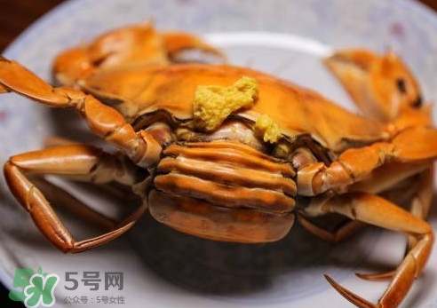 黃油蟹的選蟹標(biāo)準(zhǔn)是什么？黃油蟹的等級分類