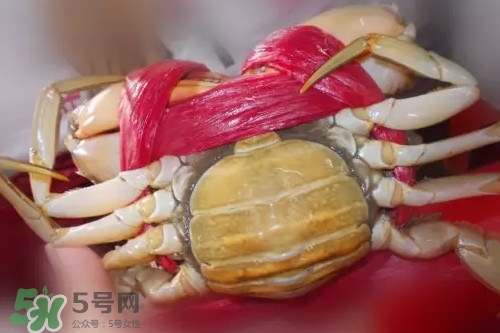 黃油蟹是海蟹嗎？黃油蟹是如何進(jìn)化的