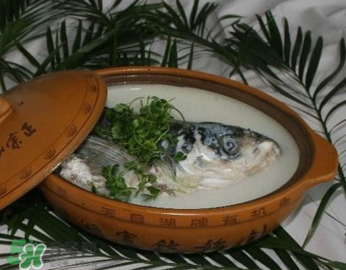 鰱魚(yú)頭湯孕婦可以吃嗎？鰱魚(yú)頭湯的功效與作用