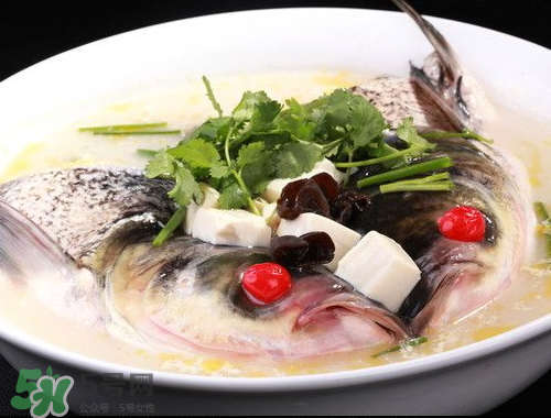 鰱魚(yú)頭湯孕婦可以吃嗎？鰱魚(yú)頭湯的功效與作用