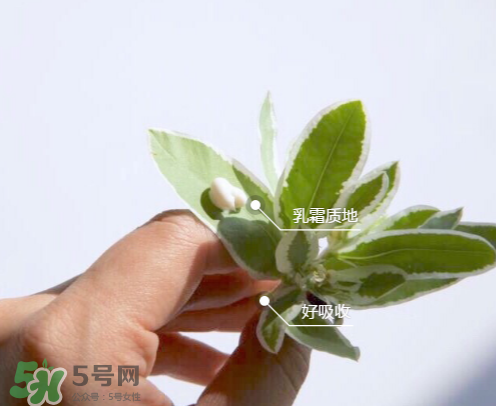 城野醫(yī)生377有副作用嗎？城野醫(yī)生377用了臉癢是什么原因？