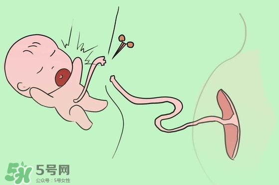 寶寶臍帶什么時候脫落？寶寶臍帶脫落后怎么護理？