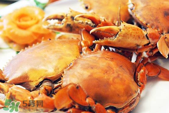 黃油蟹是什么蟹？黃油蟹多少錢(qián)一只