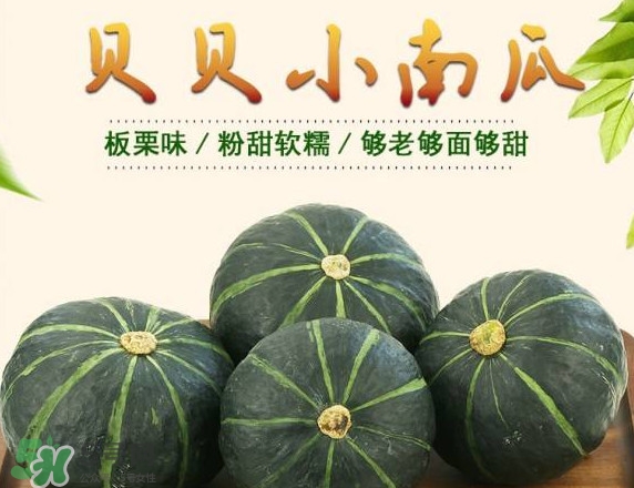 貝貝南瓜蒸多久能吃？貝貝南瓜和普通南瓜有什么區(qū)別
