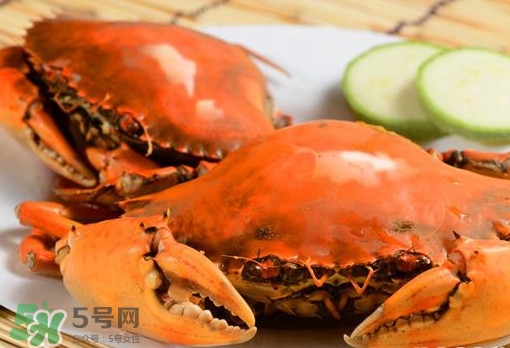黃油蟹的選蟹標(biāo)準(zhǔn)是什么？黃油蟹的等級分類