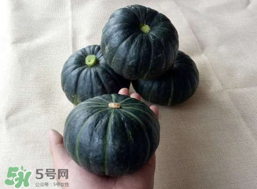 貝貝南瓜是哪里的？貝貝南瓜哪里產(chǎn)的