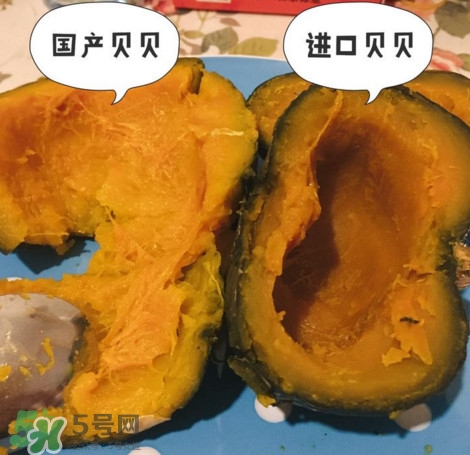 貝貝南瓜怎么挑選？貝貝南瓜有假的嗎