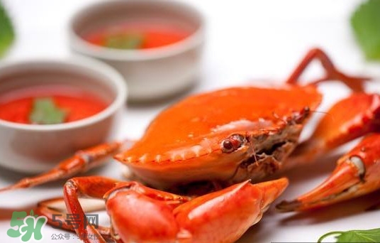 黃油蟹是海蟹嗎？黃油蟹是如何進(jìn)化的