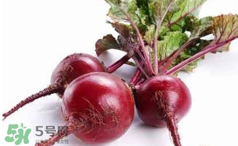 甜菜根是蘿卜嗎？甜菜根是什么菜
