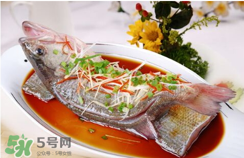 鱸魚為什么沒有刺？鱸魚為什么刺少？
