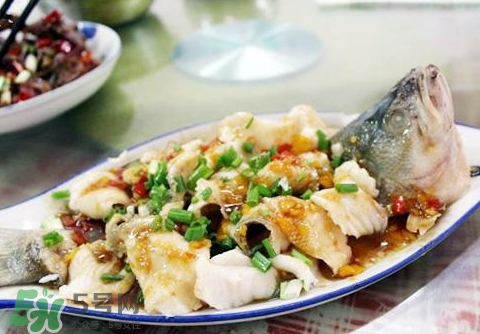 鱸魚為什么沒有刺？鱸魚為什么刺少？