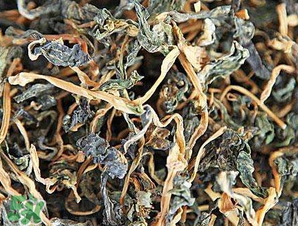 梅干菜有醬油嗎？梅干菜有營養(yǎng)嗎