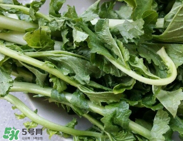 蘿卜纓能吃嗎？蘿卜纓怎么做好吃