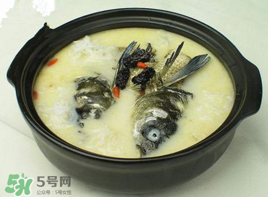 鯉魚湯怎么做好吃？鯉魚湯里面可以放什么？