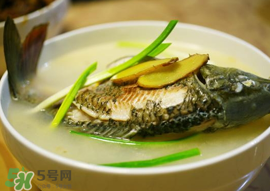 鯉魚湯怎么做好吃？鯉魚湯里面可以放什么？