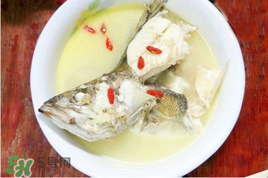鯉魚湯怎么做好吃？鯉魚湯里面可以放什么？