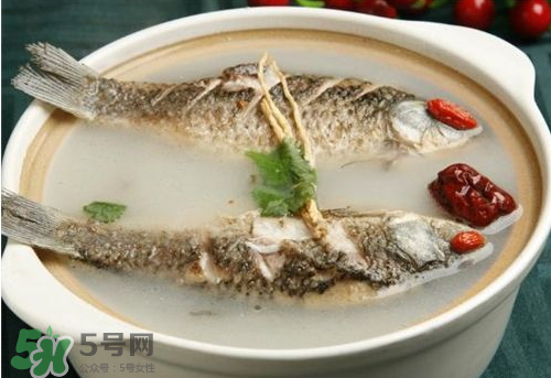 鯽魚湯下奶嗎？鯽魚湯的功效與作用
