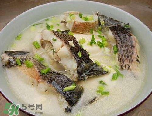 黑魚(yú)湯對(duì)傷口有好處嗎？黑魚(yú)湯的做法術(shù)后恢復(fù)
