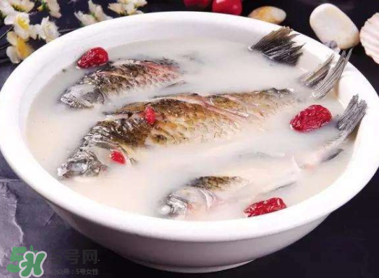 鯽魚湯里可以放什么菜最好？鯽魚燉湯放什么菜？